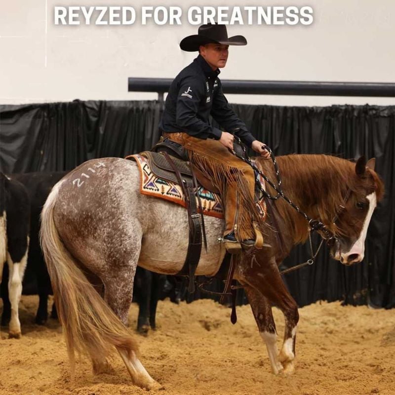 Reyzed For Greatness